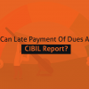 CIBIL report