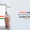 Fintech Lenders
